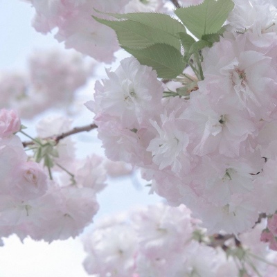 Furry绘画配色实用指南兽圈社群